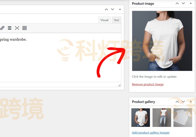初学者指南:WooCommerce跨境电商独立站建站教程