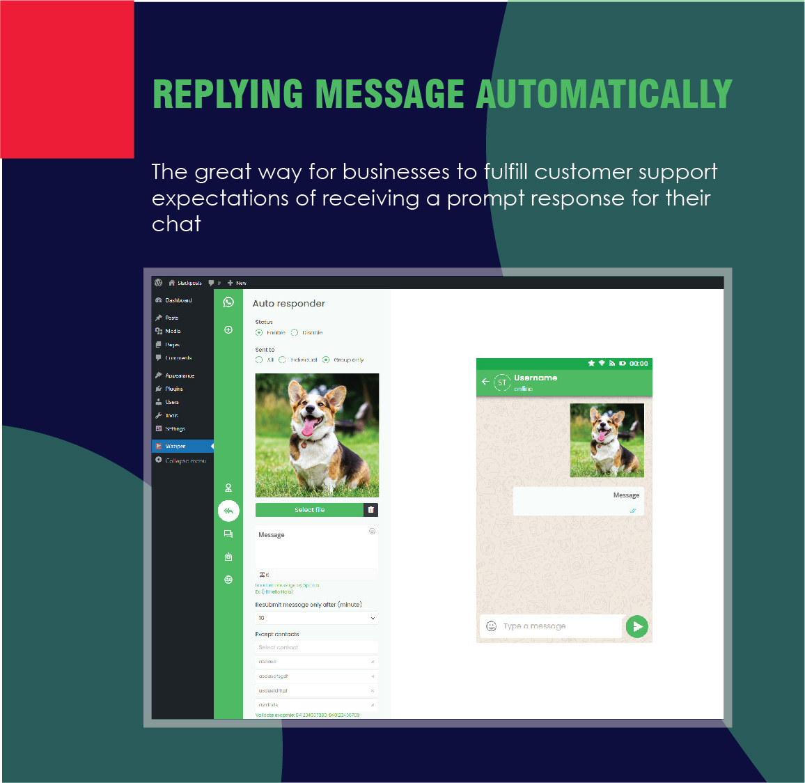 Waziper – 适用于 WordPress 的 Whatsapp 营销工具源代码