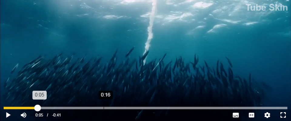 VideoJS 的管状皮肤视网膜源代码