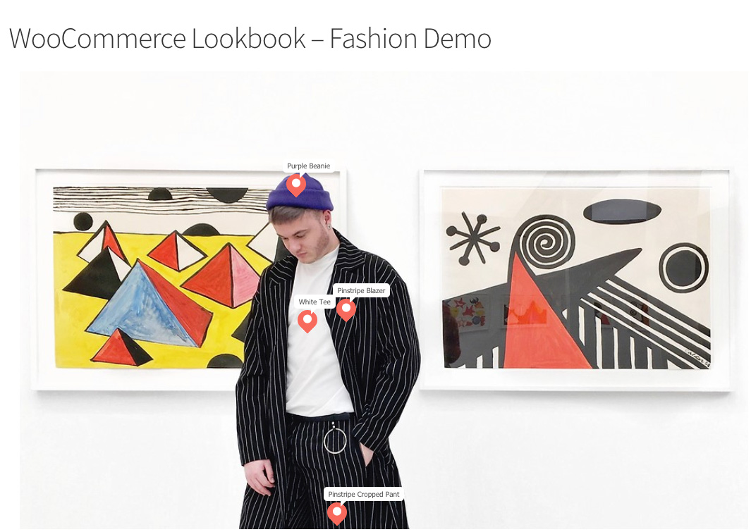 WooCommerce LookBook – Instagram 购物 – 可通过产品标签购物源代码