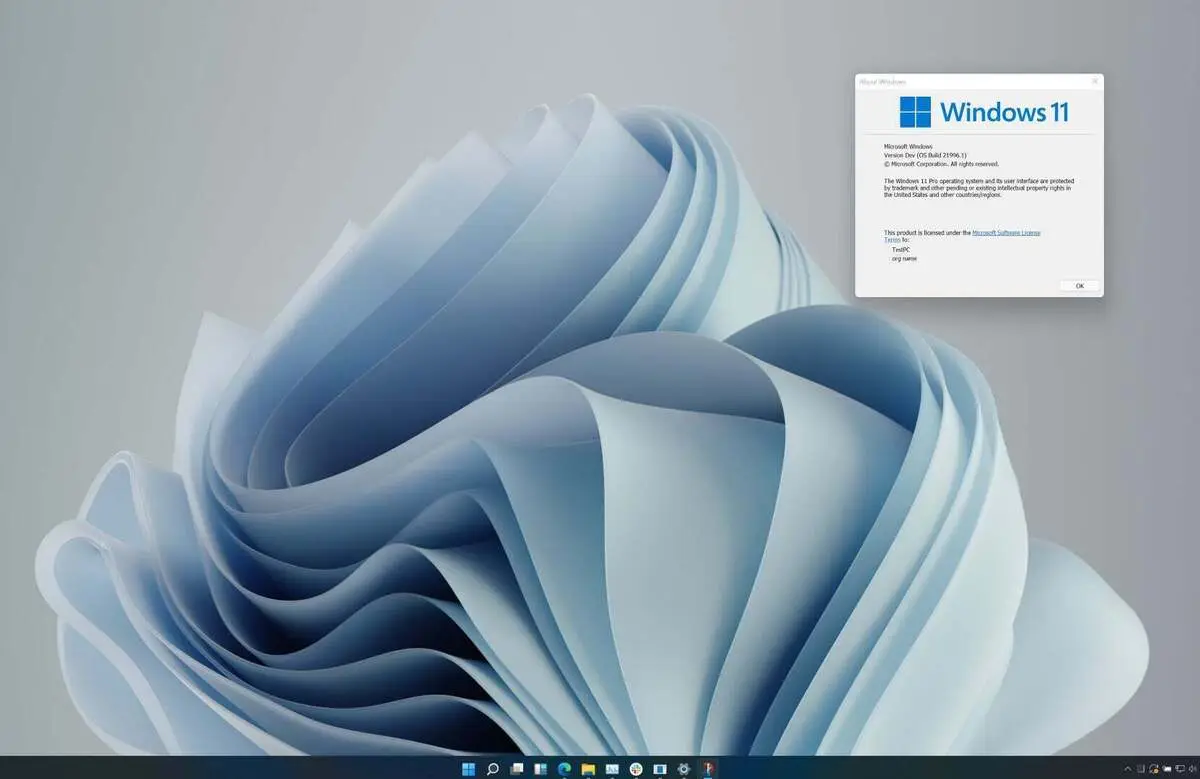 Windows 11 的采用率接近 9%，但企业仍在等待源代码