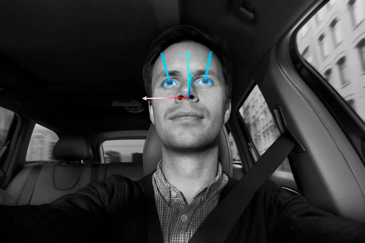 害怕吗，人类？ 情绪检测 AI 遇上眼球追踪技术