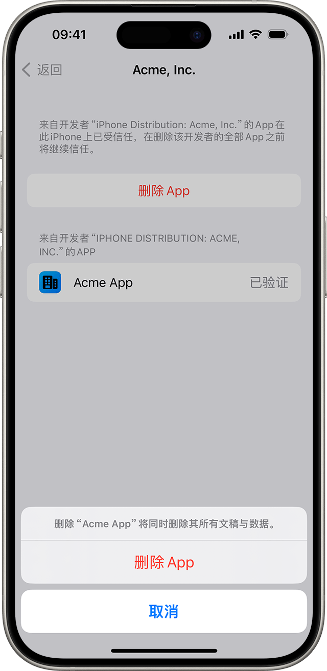 如何在 iOS、iPadOS 和 visionOS 上安装自定企业级 App
