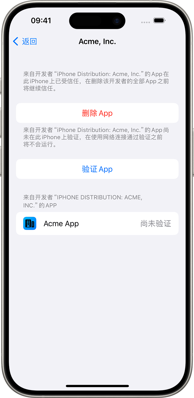 如何在 iOS、iPadOS 和 visionOS 上安装自定企业级 App