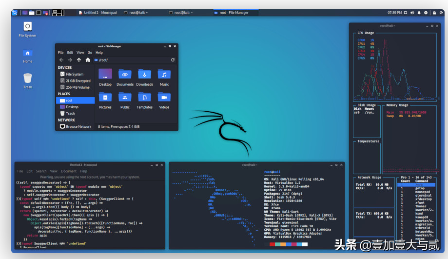 如果您已有 Kali Linux 安装,那么您需要知道的事