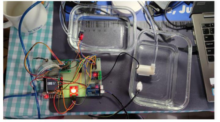 动手实践:手把手教你使用STM32打造智能鱼缸