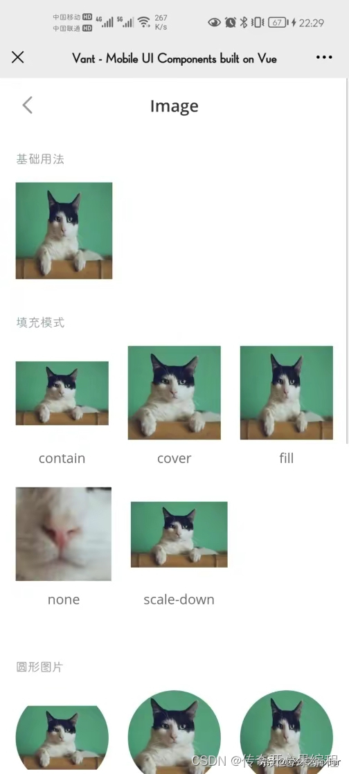 第五篇【传奇开心果系列】vant开发移动应用示例:深度解读高度可定制性