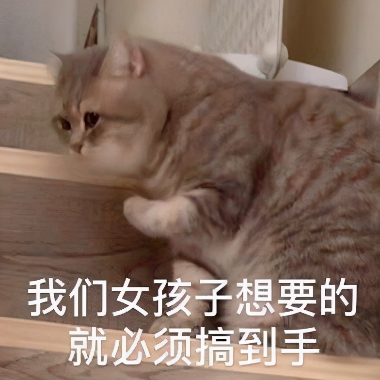 零编程代码开发手机应用,轻松尝试打造专属App