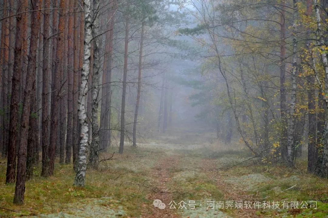 创业秘籍大公开:如何一步步搭建你的专属APP系统?
