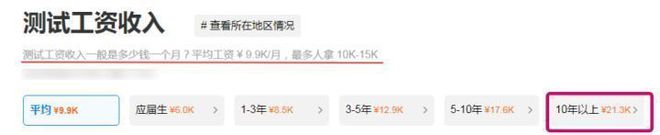 软件测试与开发:IT行业高薪岗位全方位对比,助你做出明智选择