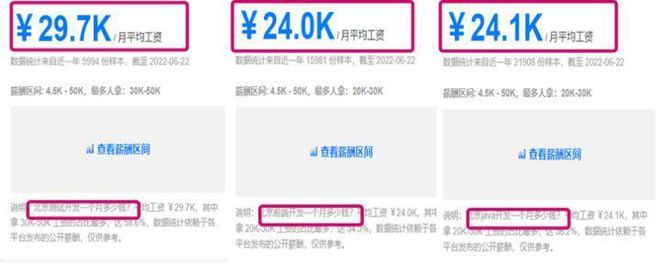 软件测试与开发:IT行业高薪岗位全方位对比,助你做出明智选择