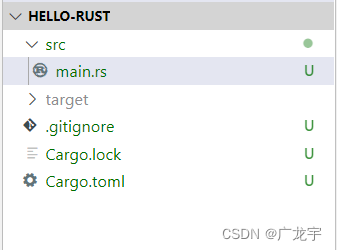 一起学Rust:深入了解Rust语言及其开发环境搭建指南
