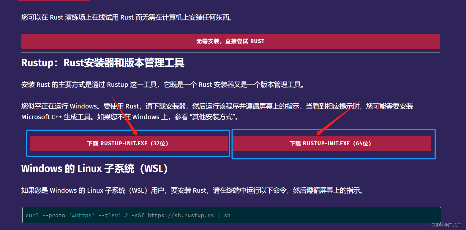 一起学Rust:深入了解Rust语言及其开发环境搭建指南