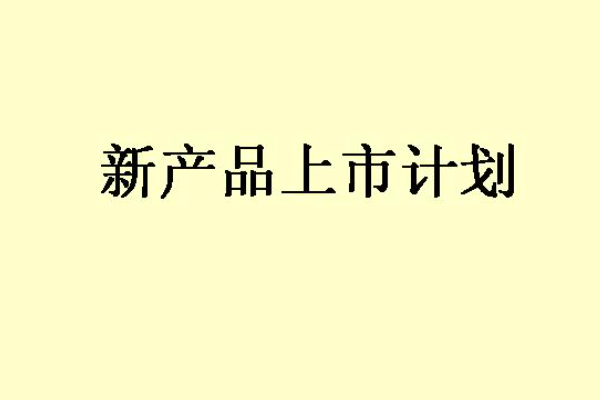新产品开发程序:从概念到市场的完整指南