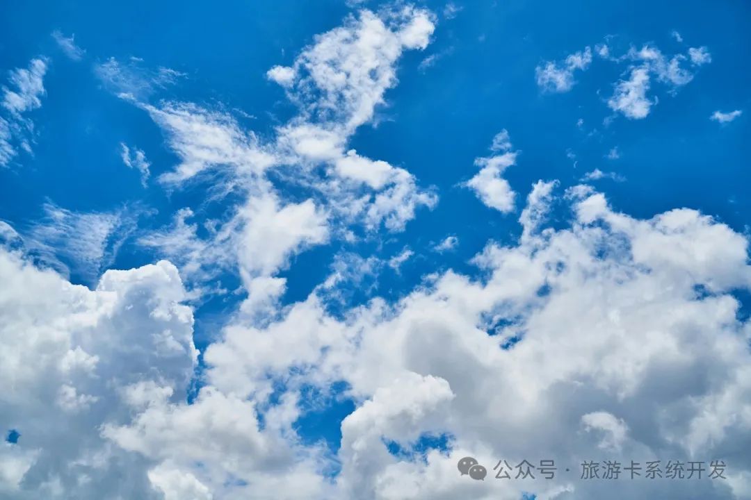 淘客新蓝海:定制专属APP,开启创业新篇章