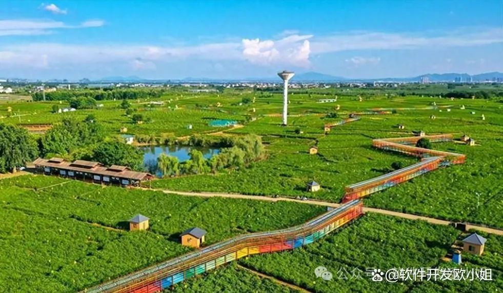 云认养模式:数字化时代下的农业与动物保护新制度