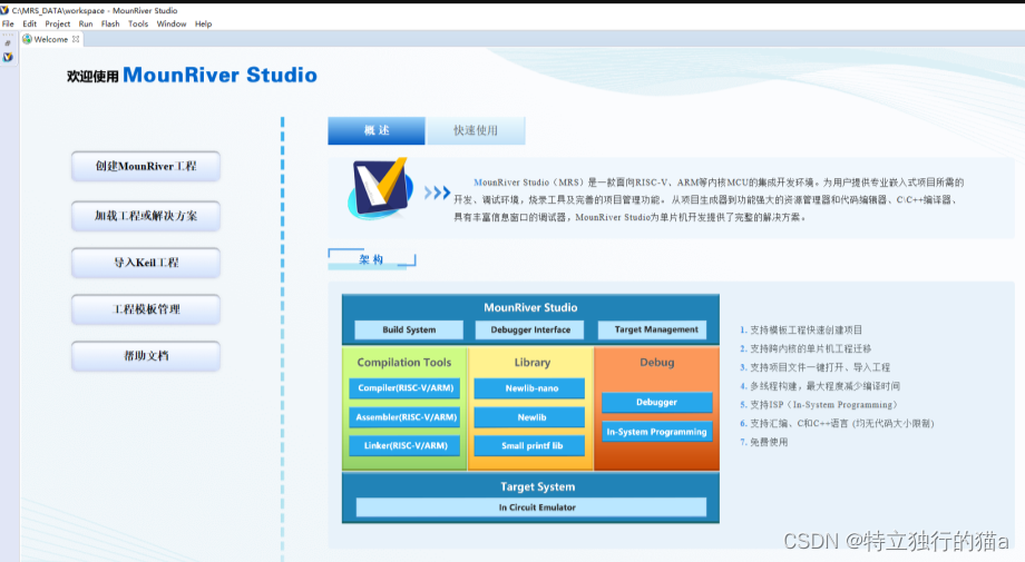 深入探讨RISC-V软件开发生态中的集成开发环境(IDE)
