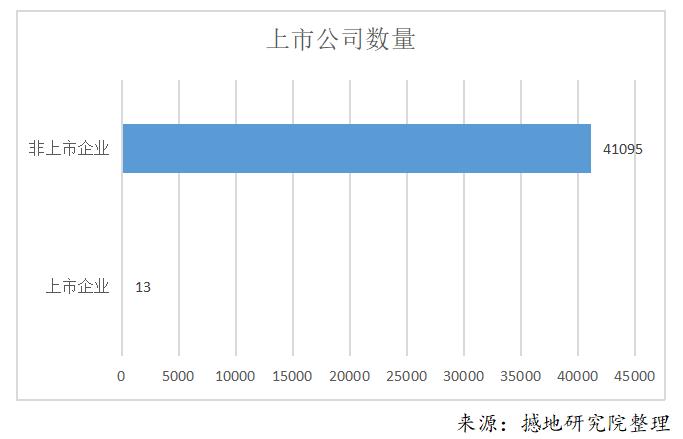 重庆软件产业硬实力解析及龙头软件企业前50强最新排名