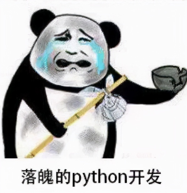 零基础学编程:Python、JAVA、前端哪个最适合找工作?