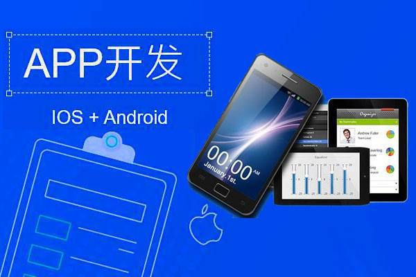 定制开发一款APP的成本分析及预算估算指南