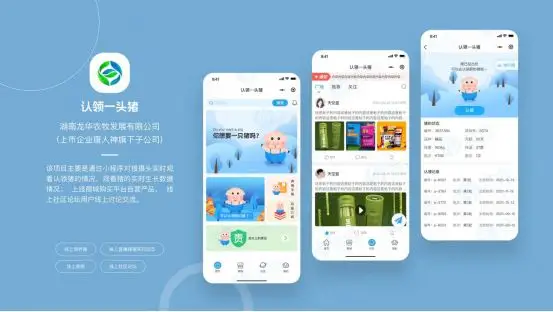 如何选择最适合你的上海App开发公司?全面指南与建议