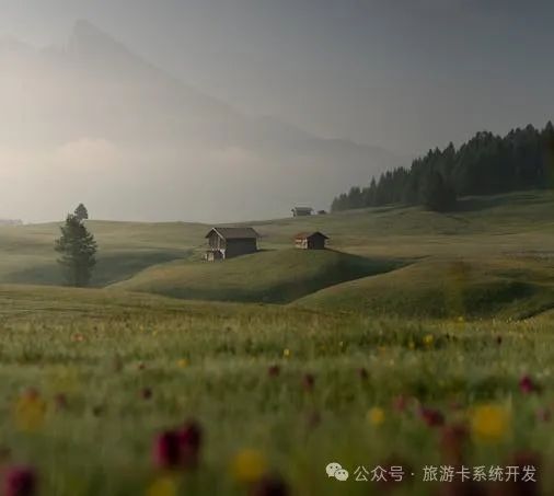 打造专属商业利器:一站式定制软件开发与商城APP搭建服务