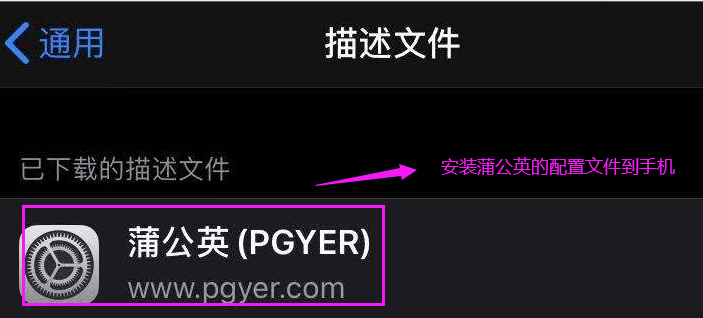 iOS APP测试方法与测试工具全面解析:从入门到精通