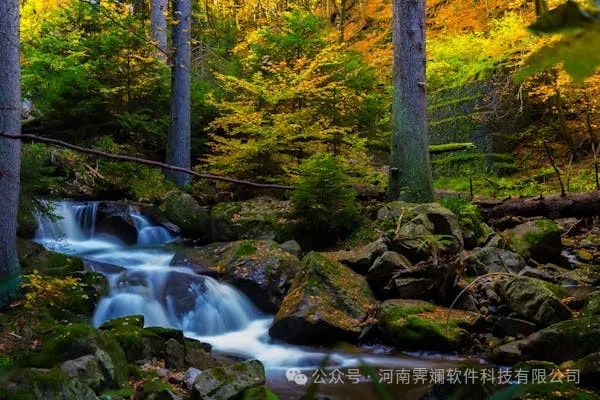一站式解决创业难题:APP定制与商城系统开发,打造专属知识付费平台
