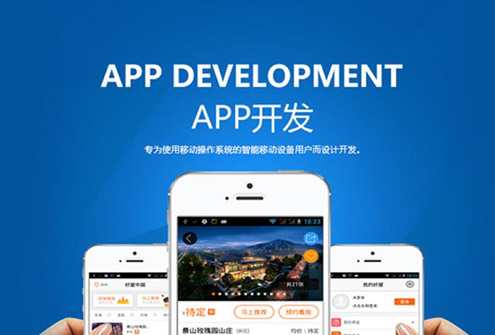在App Store上架软件所需费用详解及全面指南