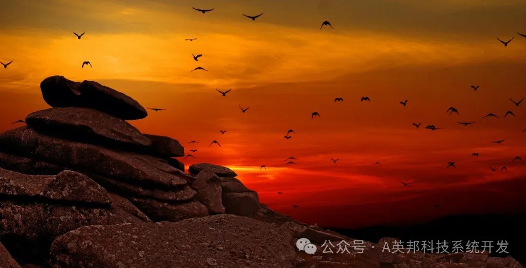 创业秘籍:从小程序到大型系统,一站式定制你的商业帝国开发攻略
