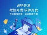 定制APP开发价格详解:影响因素与成本估算指南