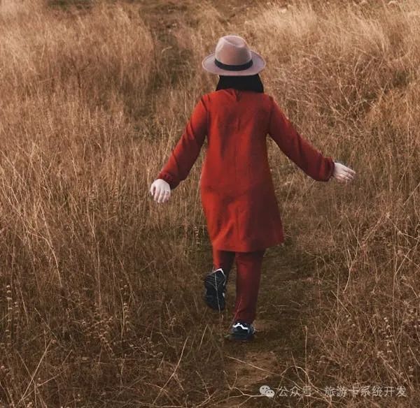 淘客APP搭建全攻略:定制开发,解锁创业新机遇,实现财富自由