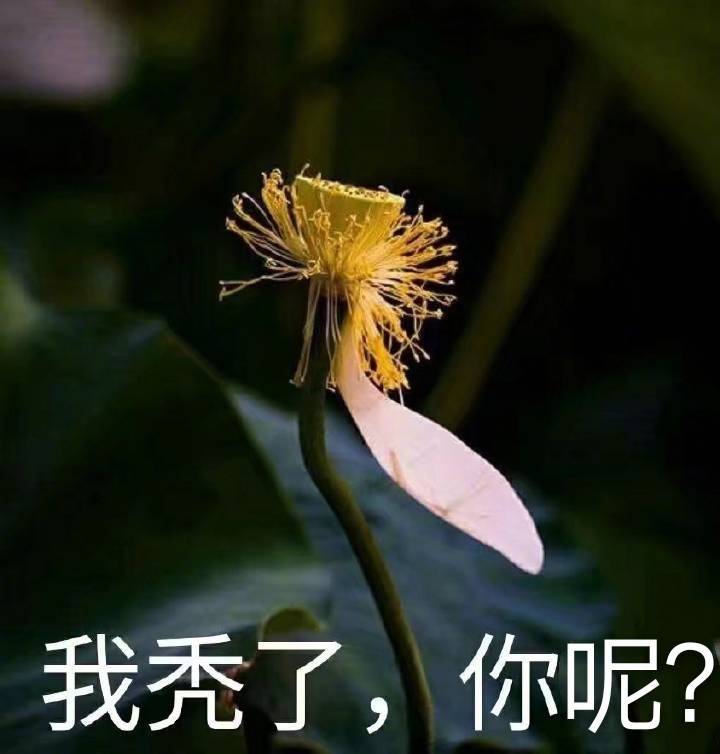 618活动太麻烦?自动薅羊毛工具来了,躺着拿20亿红包,轻松购物不费力