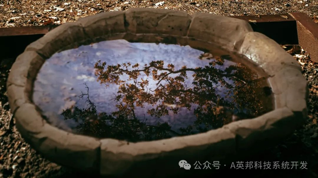 软件开发定制服务:打造专属解决方案,助力创业梦想腾飞
