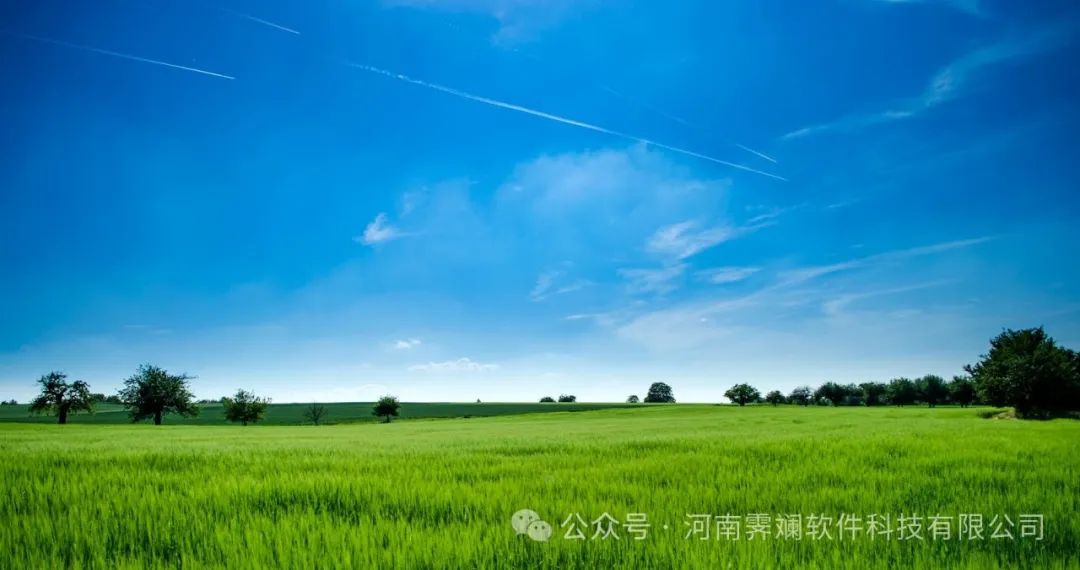 创业秘籍:如何找到最适合你的软件定制开发伙伴?全面指南