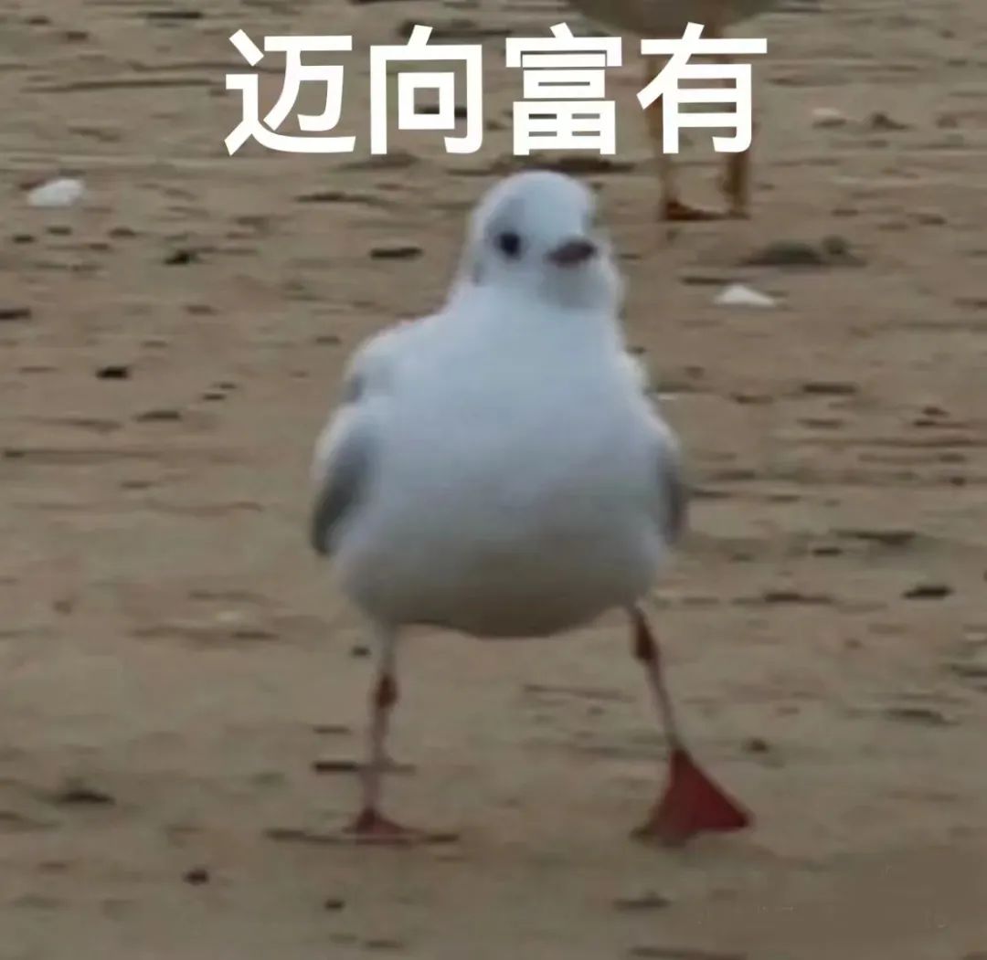 考研卷王专业大揭秘:报考这些专业你就是勇士