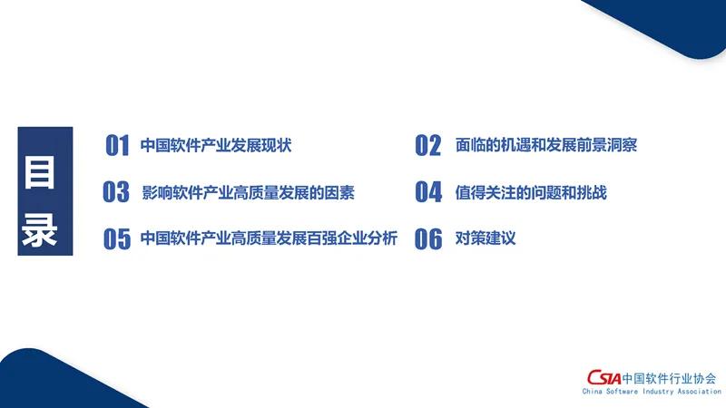 2024年度中国软件高质量发展前100家企业名单正式发布,行业领军者揭晓