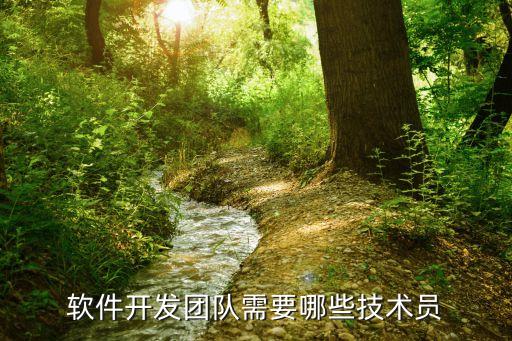 软件开发团队人员配置详解:App开发团队需要哪些技术人员?
