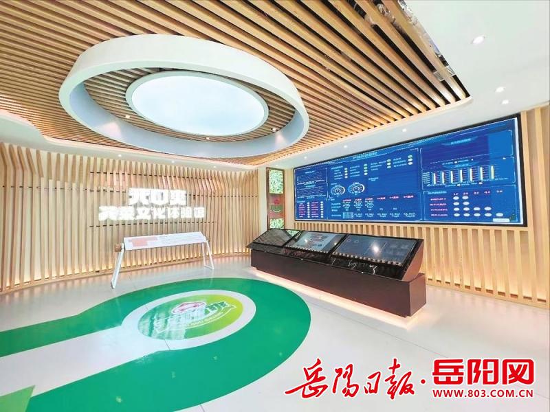 数字经济如何助力岳阳高质量发展,赋能城市经济新篇章