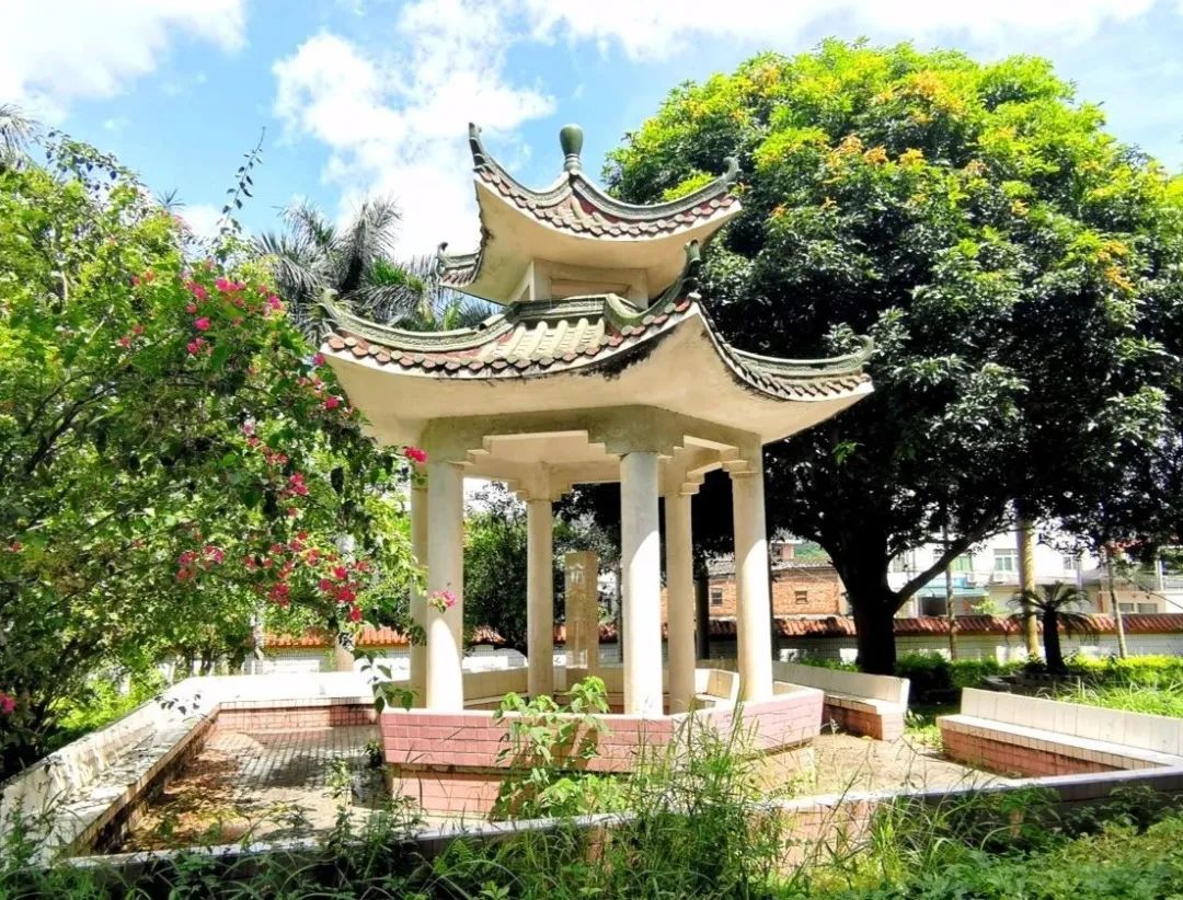 普高近三年录取线大揭秘!志愿填报在即,这所学校绝对不能错过