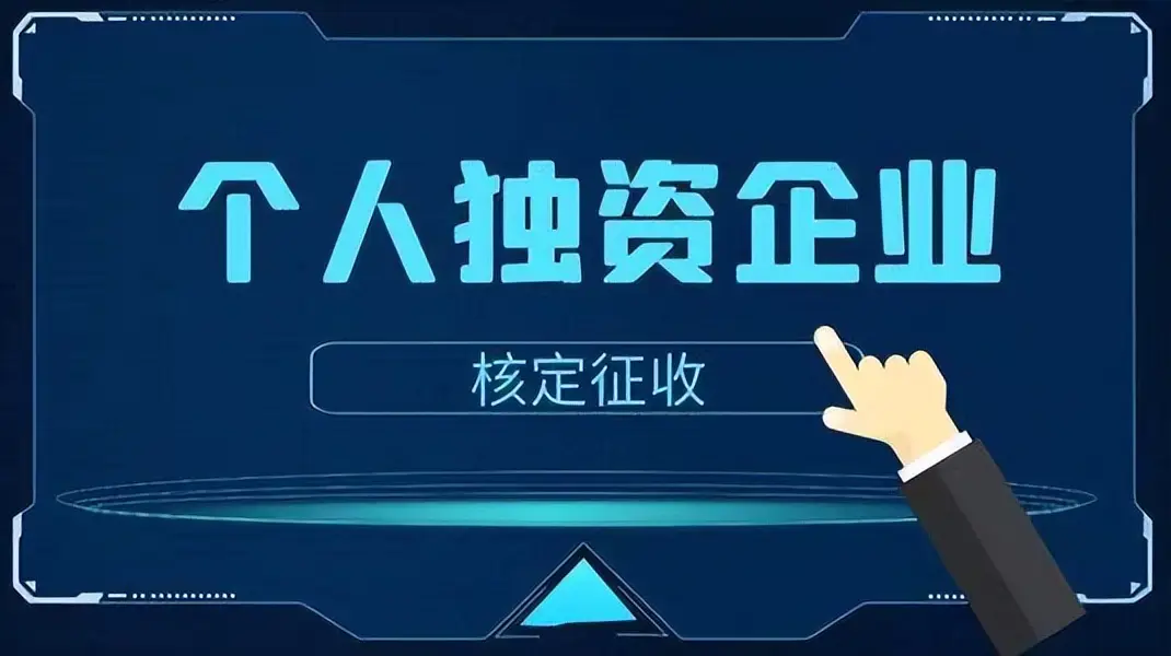 2024年信息技术与软件开发行业个体户及个人独资企业可享受核定征收政策