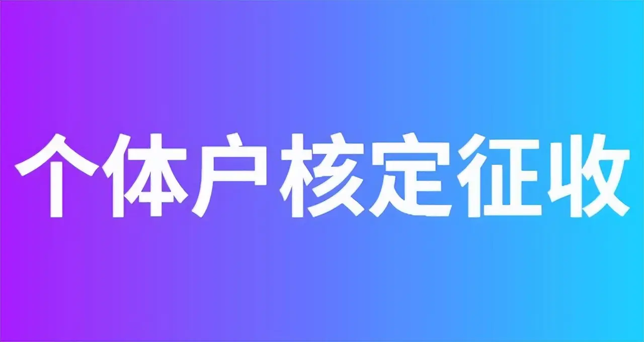 2024年信息技术与软件开发行业个体户及个人独资企业可享受核定征收政策