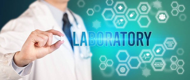 AI驱动的软件开发:探索未来趋势、应对挑战与把握机遇
