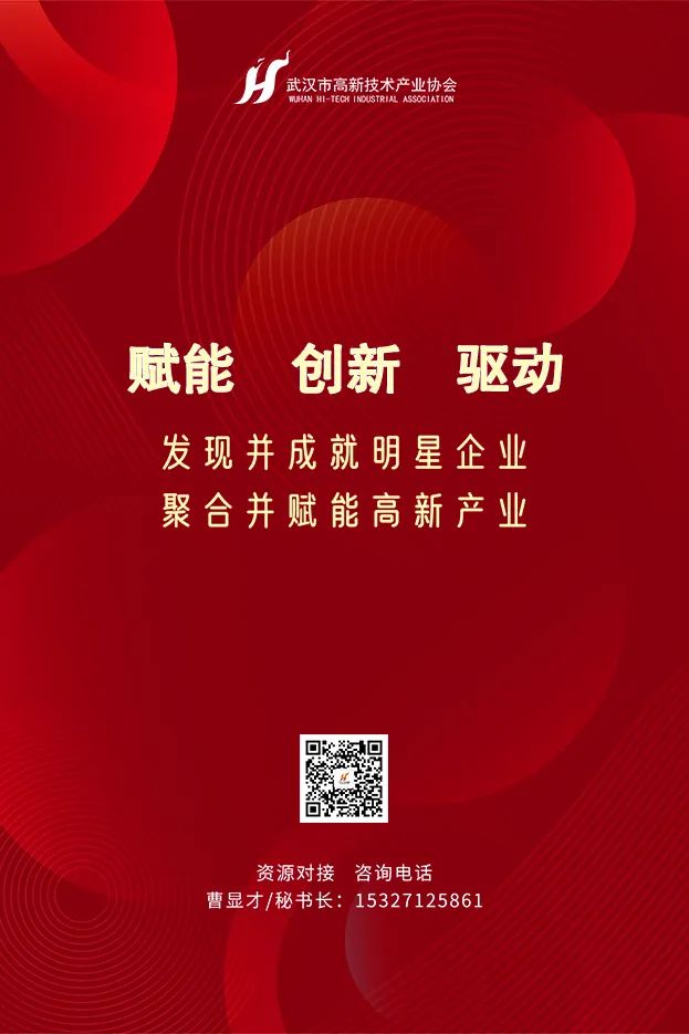 武汉市人民政府发布加快软件和信息技术服务业创新发展若干措施的通知