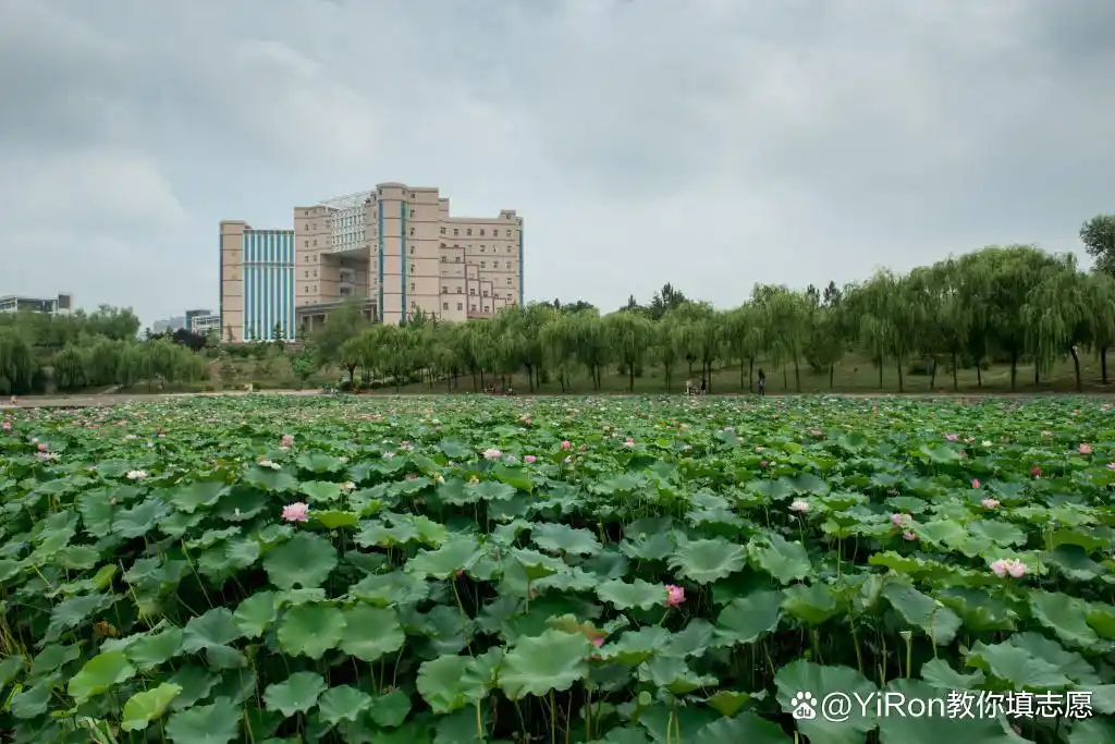 河南工程学院软件工程专业6年扩张14倍,招生人数从100增至1380人