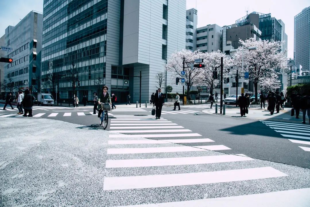 日本程序员培训一个月上岗,低薪让我后悔跟风转行