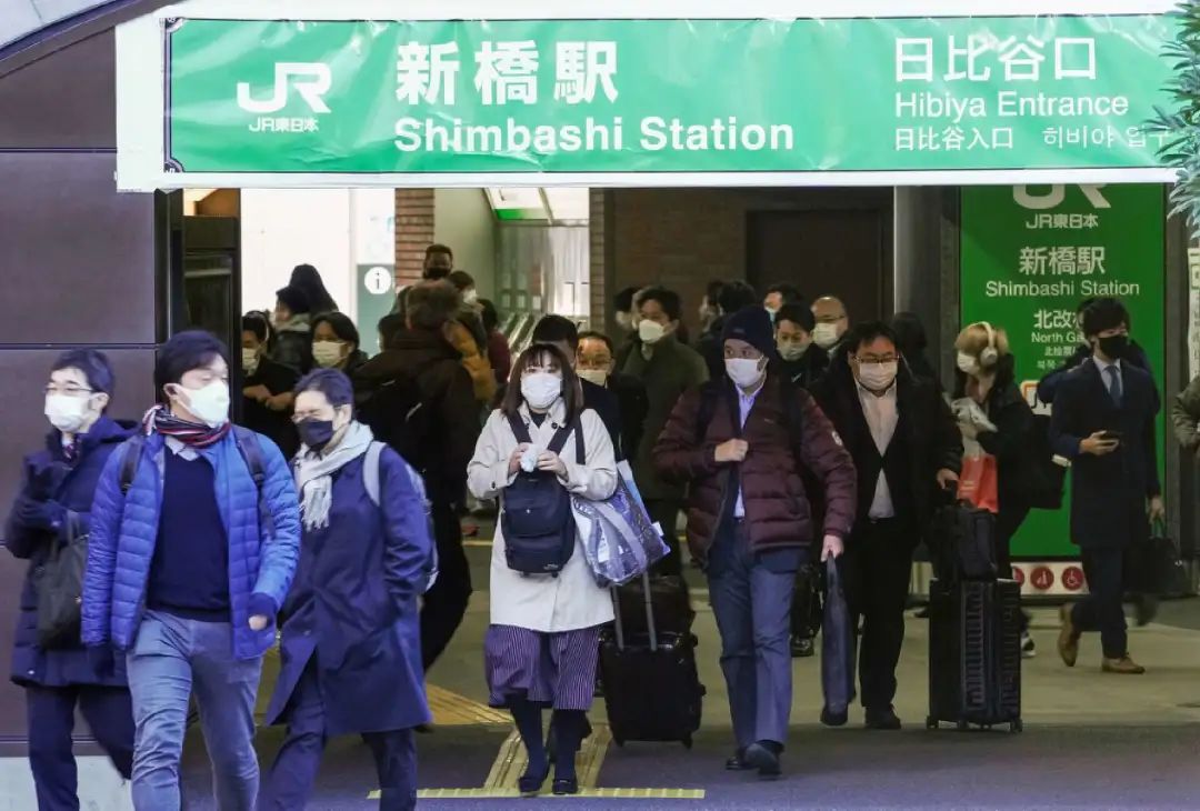 日本程序员培训一个月上岗,低薪让我后悔跟风转行