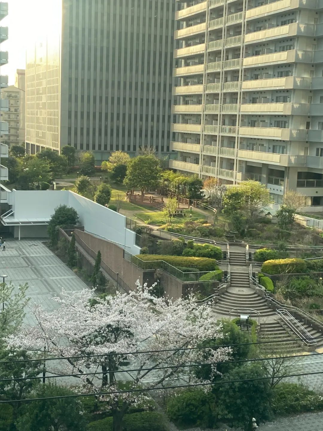 日本程序员培训一个月上岗,低薪让我后悔跟风转行