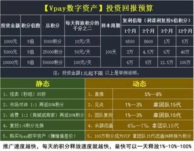 深度揭秘VPAY被定为传销币,开发系统仅需8万元的真相