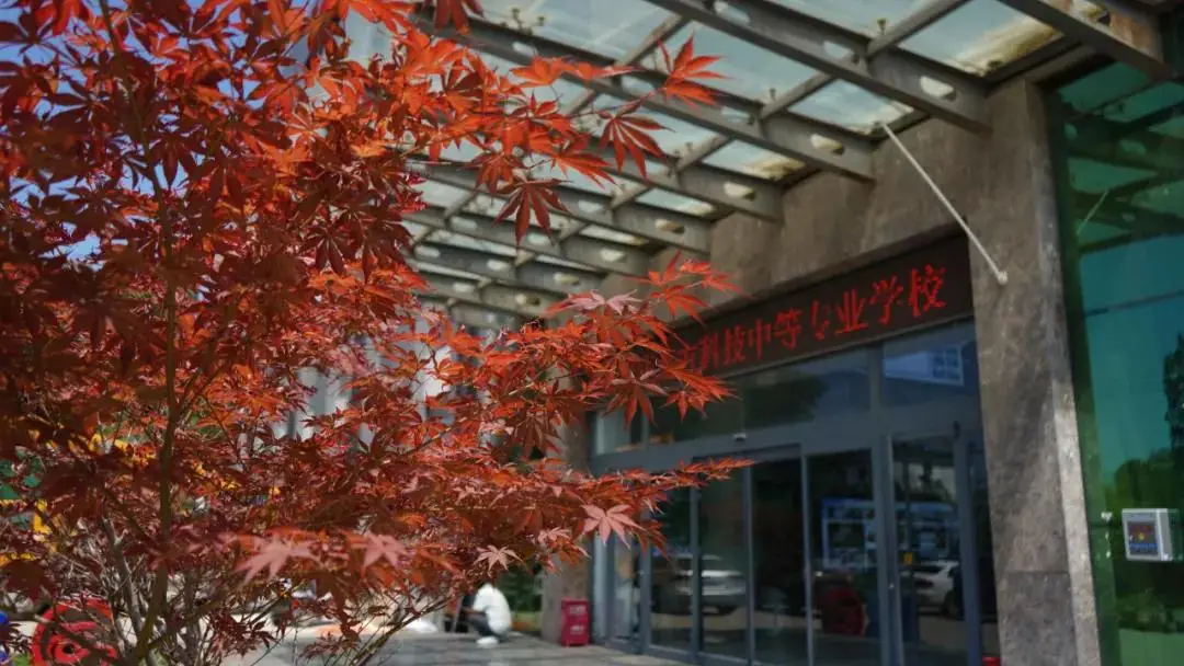 石家庄北方科技中专2024年招生简章:全面解析报名条件与专业设置